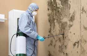 Best Mold Prevention Services  in Loch Sheldrake, NY